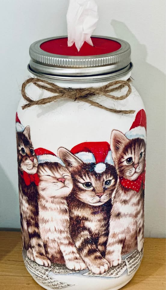 Farmhouse Cat Family Photo Tissue Jar