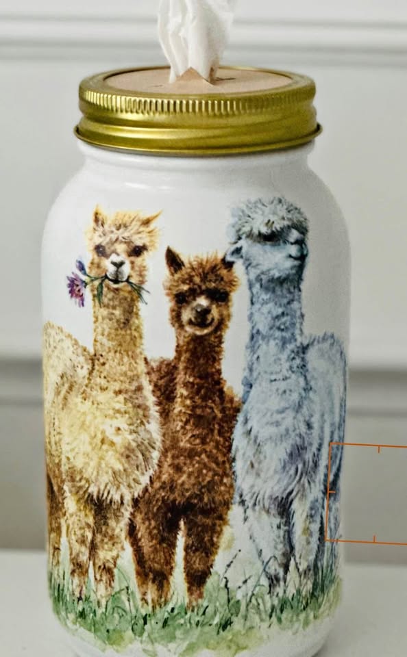 Farmhouse No Drama with these Llamas 🦙