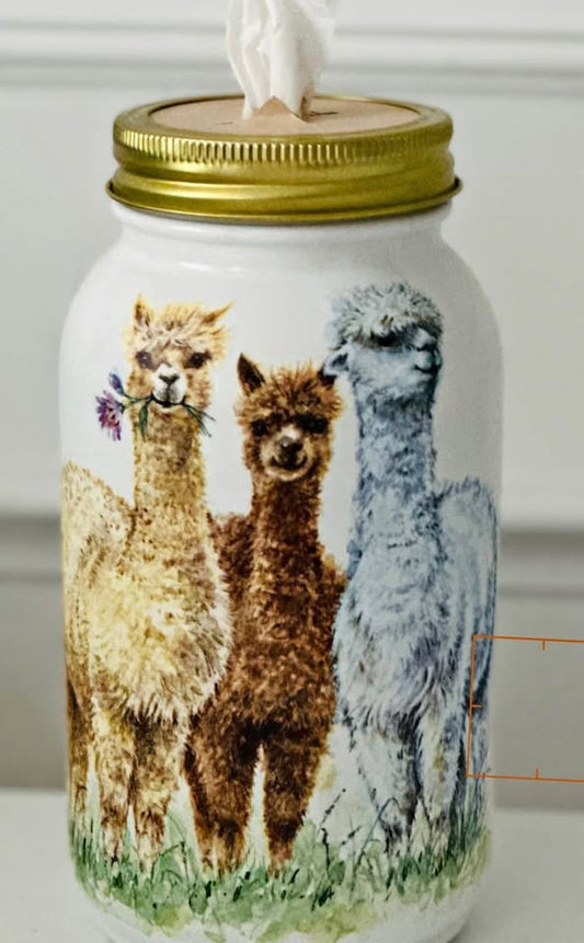 Farmhouse No Drama with these Llamas 🦙