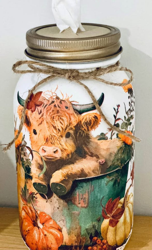Farmhouse Fall Baby Hyland Tissue Jar